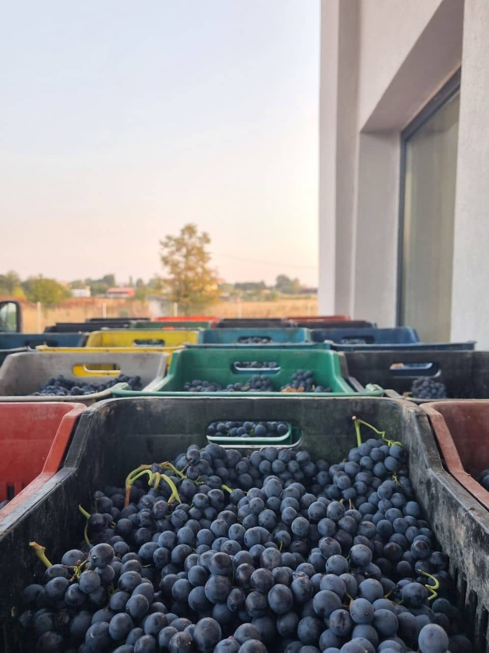 Ας γνωριστούμε